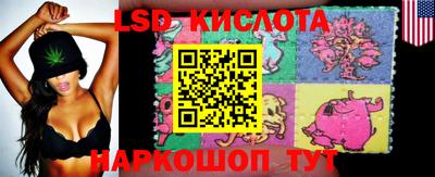 apvp Донской
