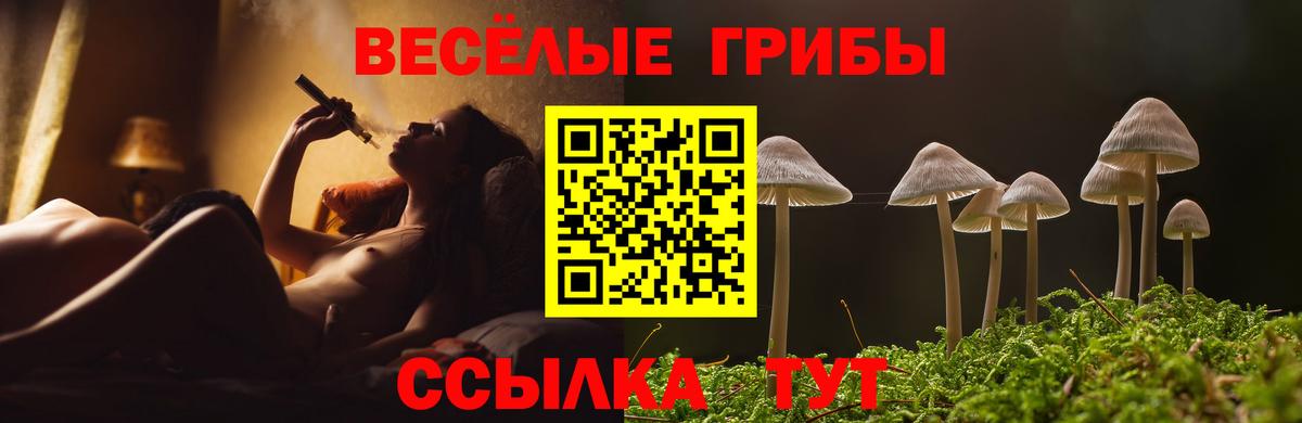 Галлюциногенные грибы мухоморы  Вход с VPN  Лесозаводск 